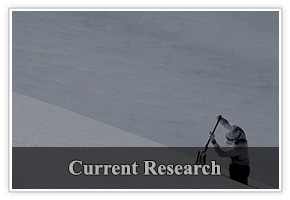 Current Research on
