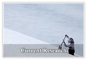 Current Research