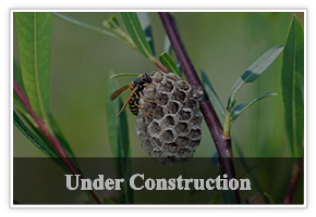 under construction on