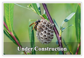 under construction